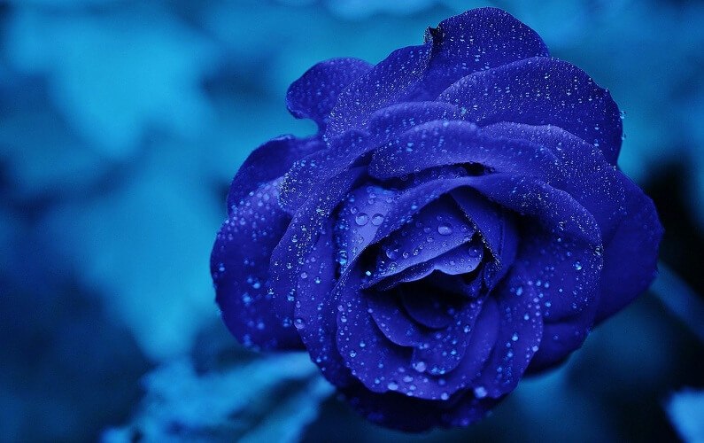 Blue Calms You blue calming affect
